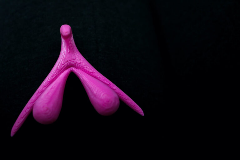 3D Abbildung von weiblicher Klitoris